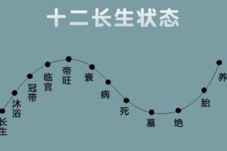 父亲命理探秘：八字中的父亲与其命运关系