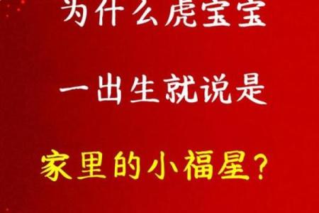 揭秘2022年虎宝宝的命运与性格特征