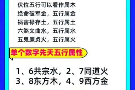 揭秘森林木命之数字：如何选取适合你的幸运数字！