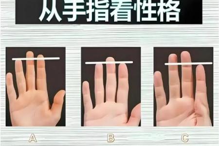 手指像鸡爪的命运解析：生活中的象征与隐喻