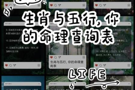 命理月份与生肖的奇妙关联——探索你出生月份的生肖密码