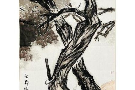 松柏木命与颜色的和谐之美：探寻生命的色彩意义