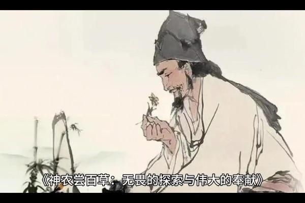 不惜自身命的真谛：为爱而生的勇气与奉献