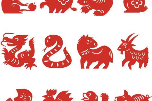 2008年属鼠，命理与人生的探索之旅