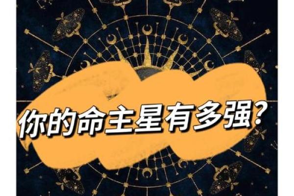 探索平地木命者的命名之道与运势