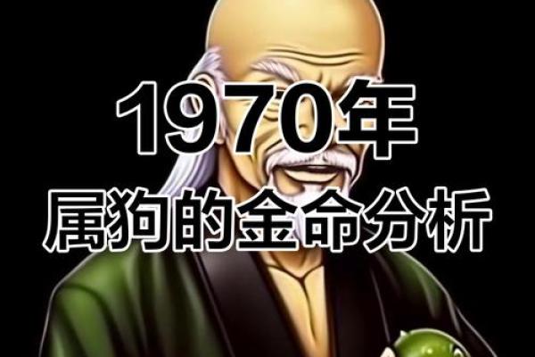 探索属狗之人的命运与性格特征，揭秘命中注定的幸福之路