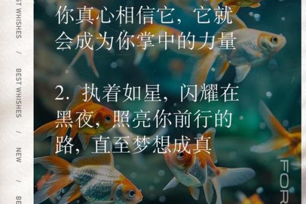 命运与名字：如何选择能给予你力量的名号