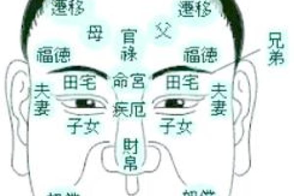什么是凶相之命？揭示命理中的神秘特征与含义