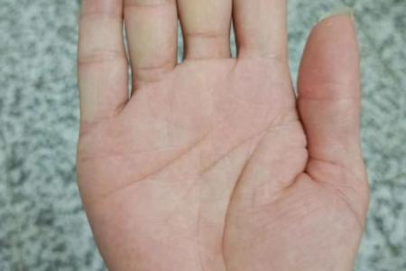 手掌厚手指短，命运的秘密与诠释