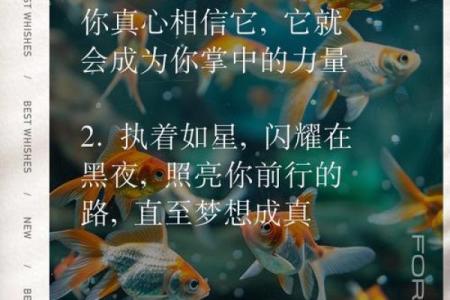 命运与名字：如何选择能给予你力量的名号