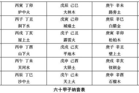 探索己巳辛未癸巳命格的奥秘与人生启示