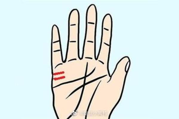 东边适合什么命的人居住，揭示你的命理理想生活！