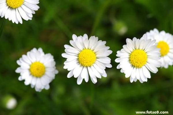 东边适合什么命的人居住，揭示你的命理理想生活！