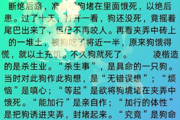 解命之道：如何通过日子理解命运的奥秘