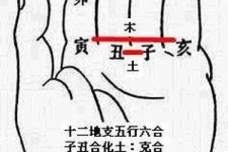 十三周岁属什么命？探讨青少年命理与成长之道