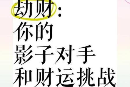 劫财命理解析：从命盘看人生的财富与挑战
