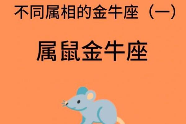 26岁老鼠的命运与人生启示：从星座到性格的深度解析