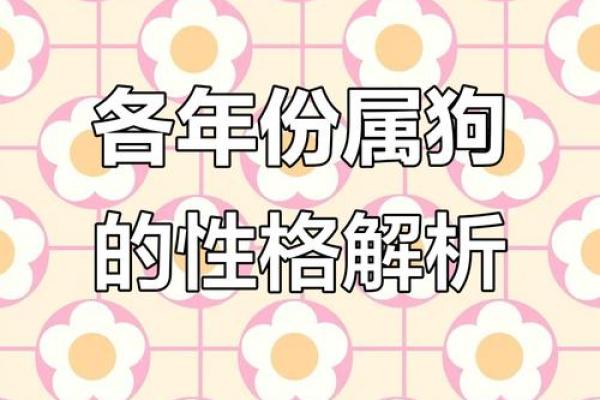 82属狗的命运解析:命理与性格的深度剖析 82属狗的命运解析:命理与性格的深度剖析