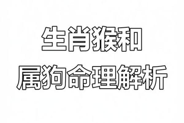 82属狗的命运解析:命理与性格的深度剖析 82属狗的命运解析:命理与性格的深度剖析