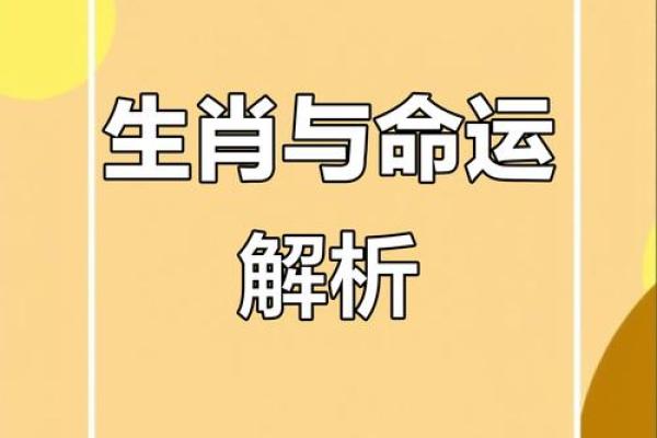 73岁属相是什么命？揭秘命运与生肖的奥秘