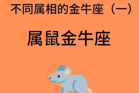 26岁老鼠的命运与人生启示：从星座到性格的深度解析