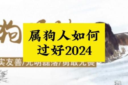 属狗人在2024年4月21日的命运解析与发展建议