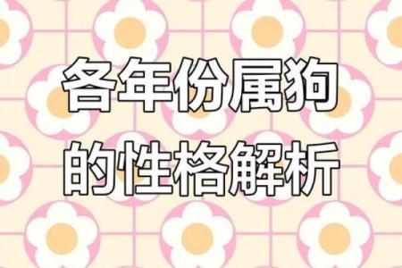 82属狗的命运解析：命理与性格的深度剖析
