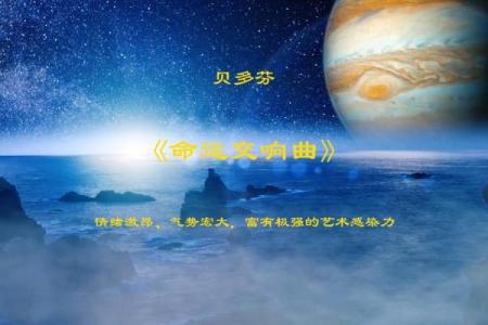 《命若琴弦：命运与选择的交响曲》