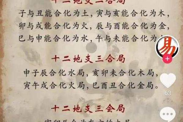 一九七九：五行命格透视与个人发展之路