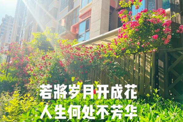 接受命运的馈赠，绽放人生的精彩花朵