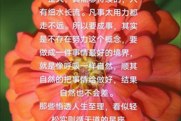 探索中国星座：大火命的秘密与人生启示