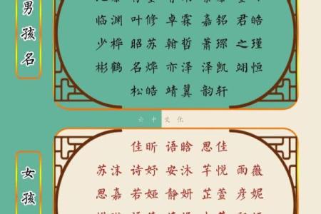 兔宝宝命理与起名的智慧：为新生儿选择合适名字的奥秘