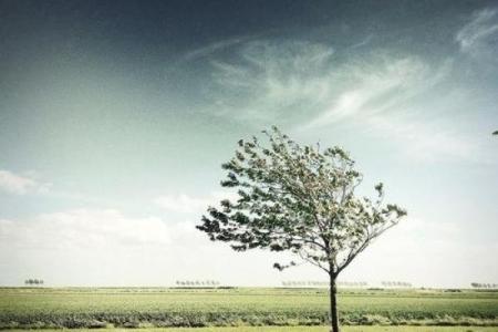 土命人的宠物选择：与大地元素的和谐共处