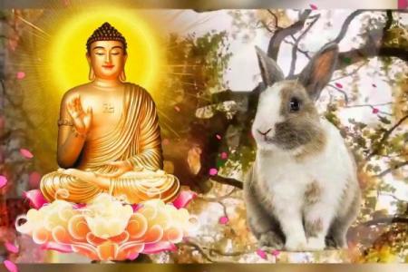 1975年兔子男的命运与人生智慧：志存高远，稳健前行