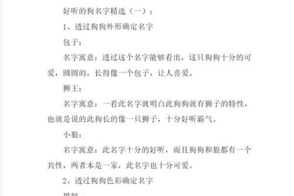 1907年狗年的命运与性格分析，让你更好地了解身边的狗狗们