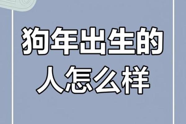 94年正月属什么命？了解属狗之人的命运与性格魅力
