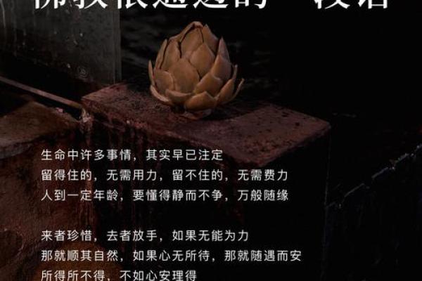 路旁土命:自然的馈赠与生活的智慧 路旁土命:自然的馈赠与生活的智慧