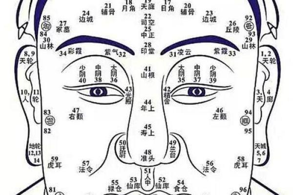 女生生于卯时的命运解析:性格特征与人生走向 女生生于卯时的命运解析:性格特征与人生走向