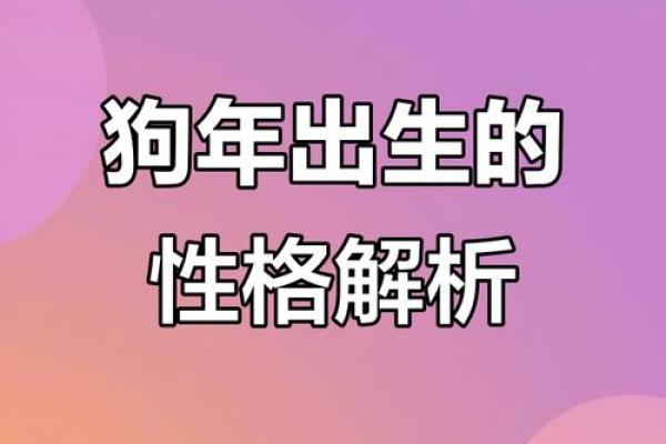 属狗的人最佳命运分析:聪明、忠诚与幸福的结合 属狗的人最佳命运分析:聪明、忠诚与幸福的结合
