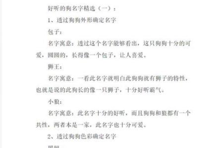 1907年狗年的命运与性格分析，让你更好地了解身边的狗狗们