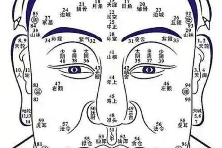 女生生于卯时的命运解析：性格特征与人生走向