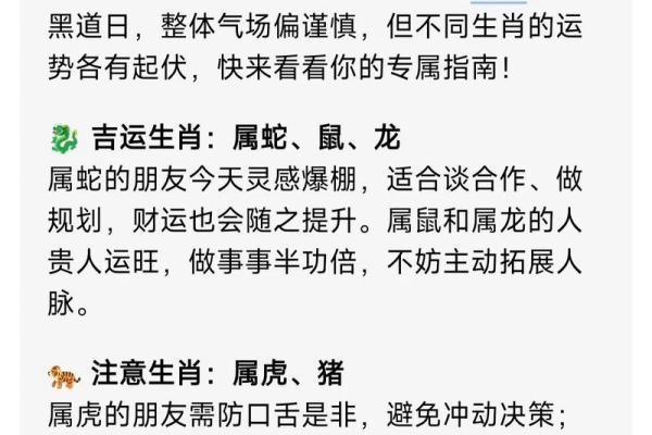 2023年运势分析:如何把握命运的主动权与人生机遇 2023年运势分析:如何把握命运的主动权与人生机遇