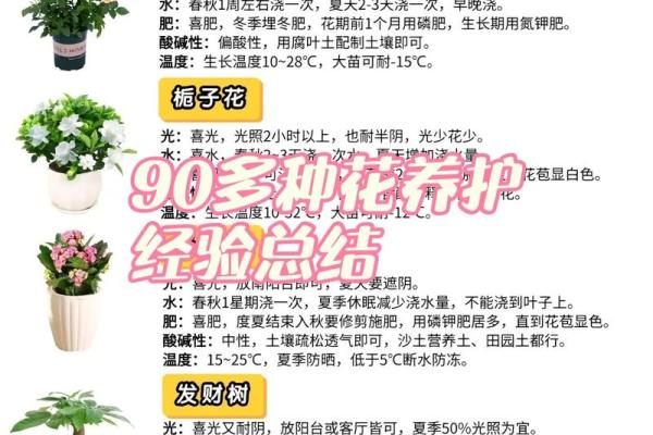 火命人士养花的注意事项与技巧