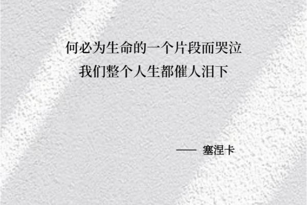 女人的命运如菜籽般朴实而坚韧，诉说着爱的故事与生命的哲学