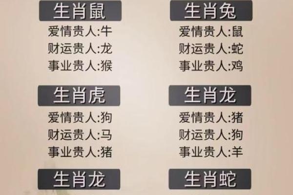 属相与老年命运：哪些生肖的男性晚年更受青睐？