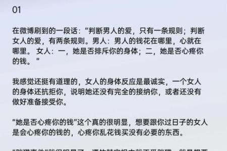 女人的命运如菜籽般朴实而坚韧，诉说着爱的故事与生命的哲学