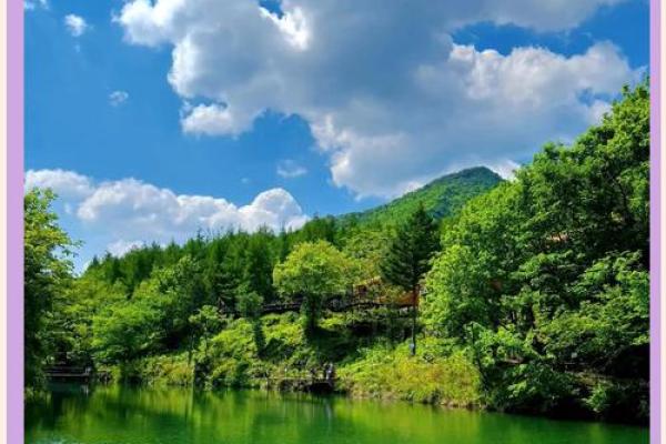 大海水命与木命的完美结合：自然与灵魂的和谐之旅