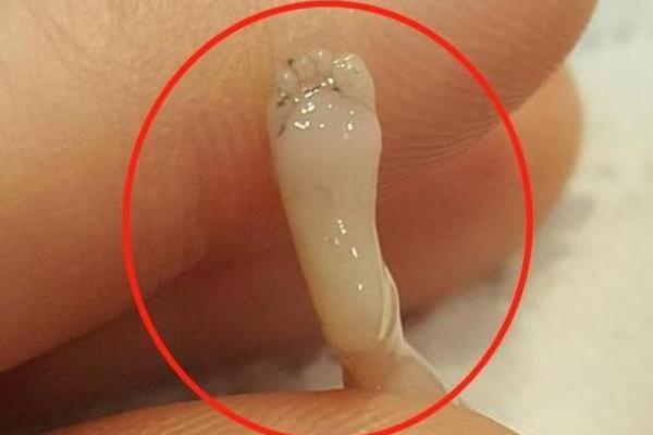 揭秘贵命犯贱：哪些生肖命运多舛？