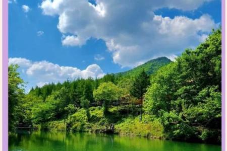 大海水命与木命的完美结合：自然与灵魂的和谐之旅