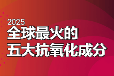 0414出生的人命运解析：揭秘命运背后的秘密与机遇